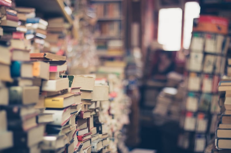 Time Travel Novels